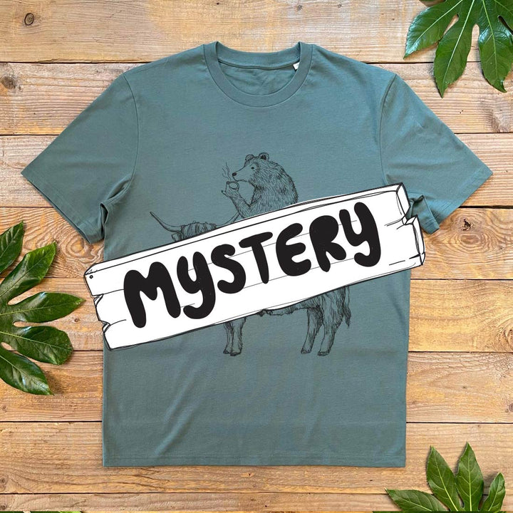 Mystery T-Shirt (*same size as other items in your order)