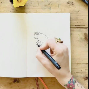 time lapse video